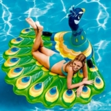 VEDES Großhandel GmbH - Ware 77000780 Island Peacock Sportspielzeug, 193 x 163 x 94 cm, Mehrfarbig